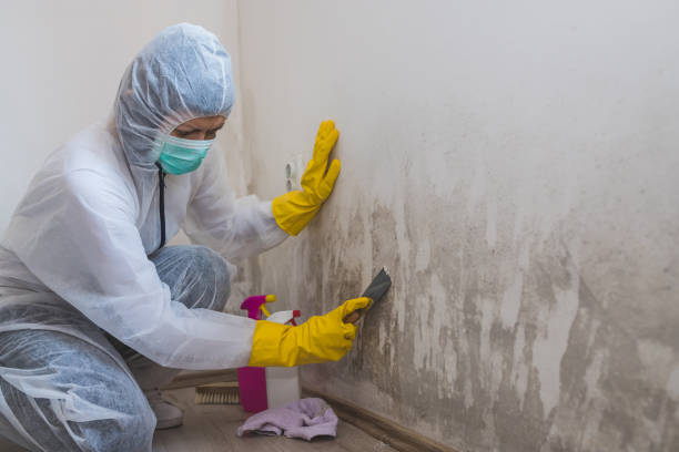 Best Residential Mold Removal  in Strongsville, OH